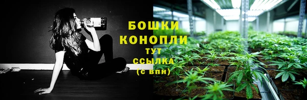 соль ск Надым