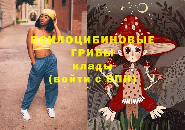 первитин Михайлов
