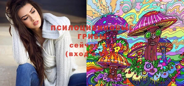 стаф Михайловск