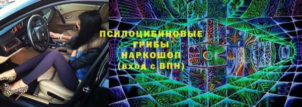 первитин Михайлов