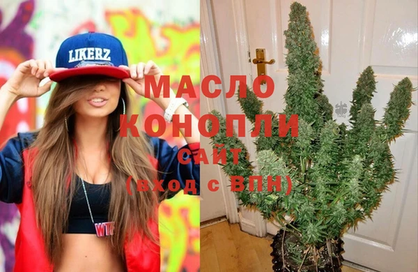 индика Мегион