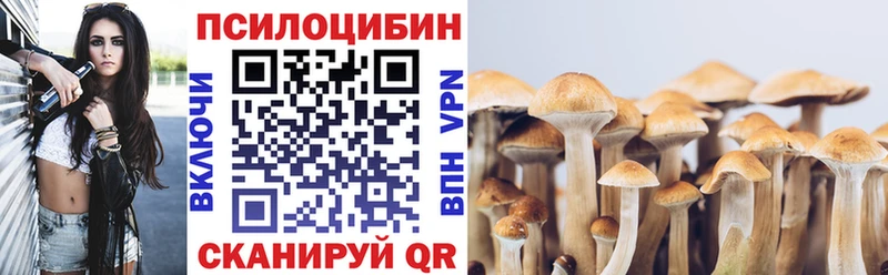 где можно купить   Новоульяновск  Псилоцибиновые грибы Magic Shrooms 